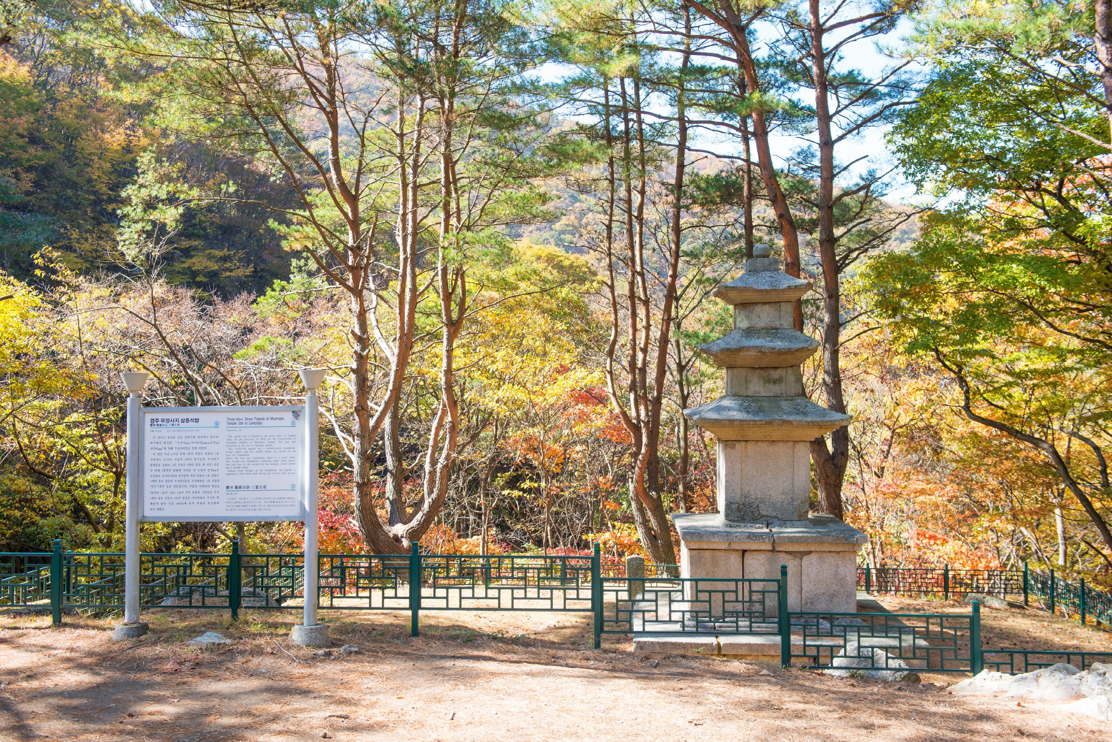 경주 무장사지 삼층석탑 — 경주 무장사지 삼층석탑_원경 (촬영년도 : 2015년)