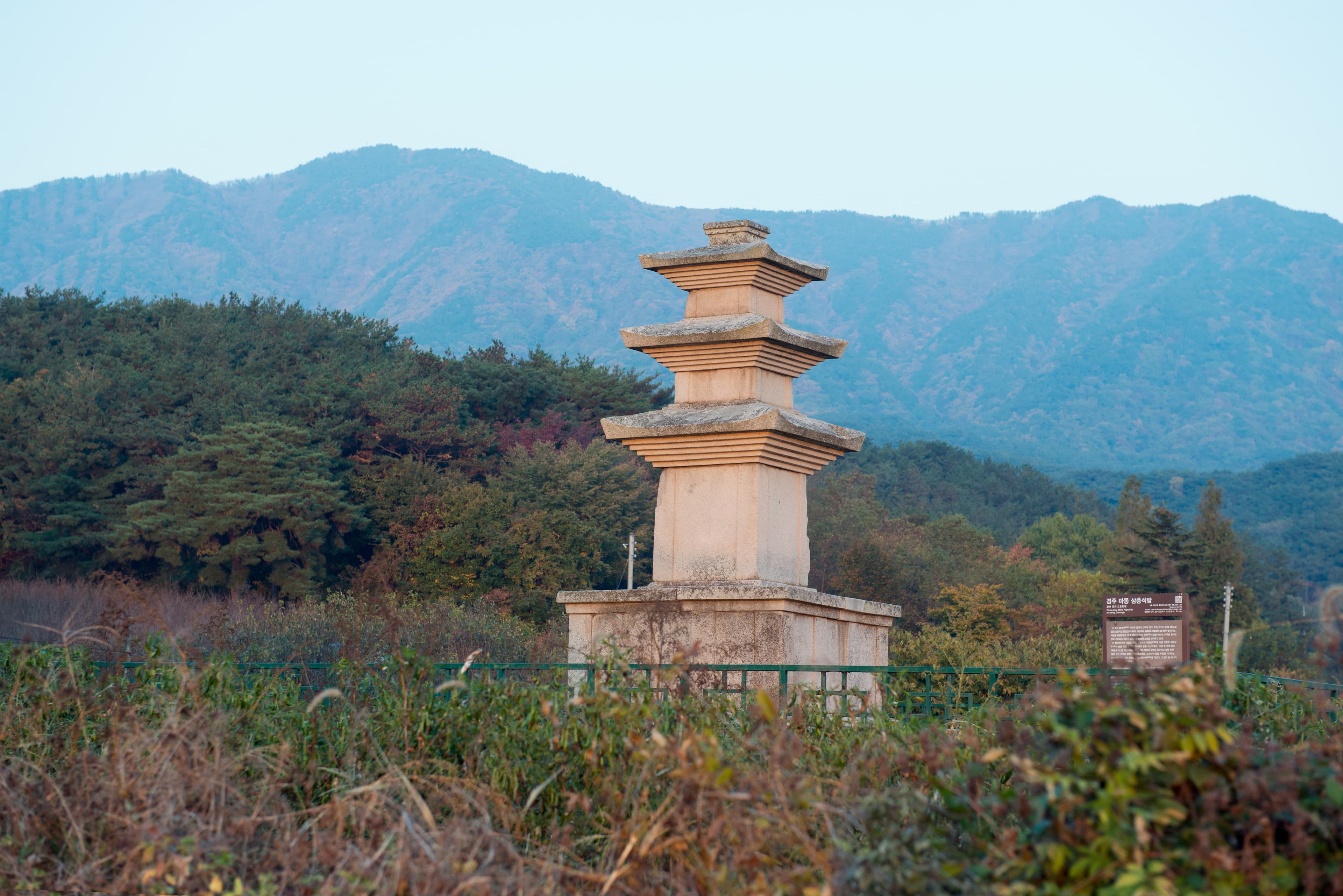 경주 마동 삼층석탑 — 경주 마동 삼층석탑_원경 (촬영년도 : 2015년)