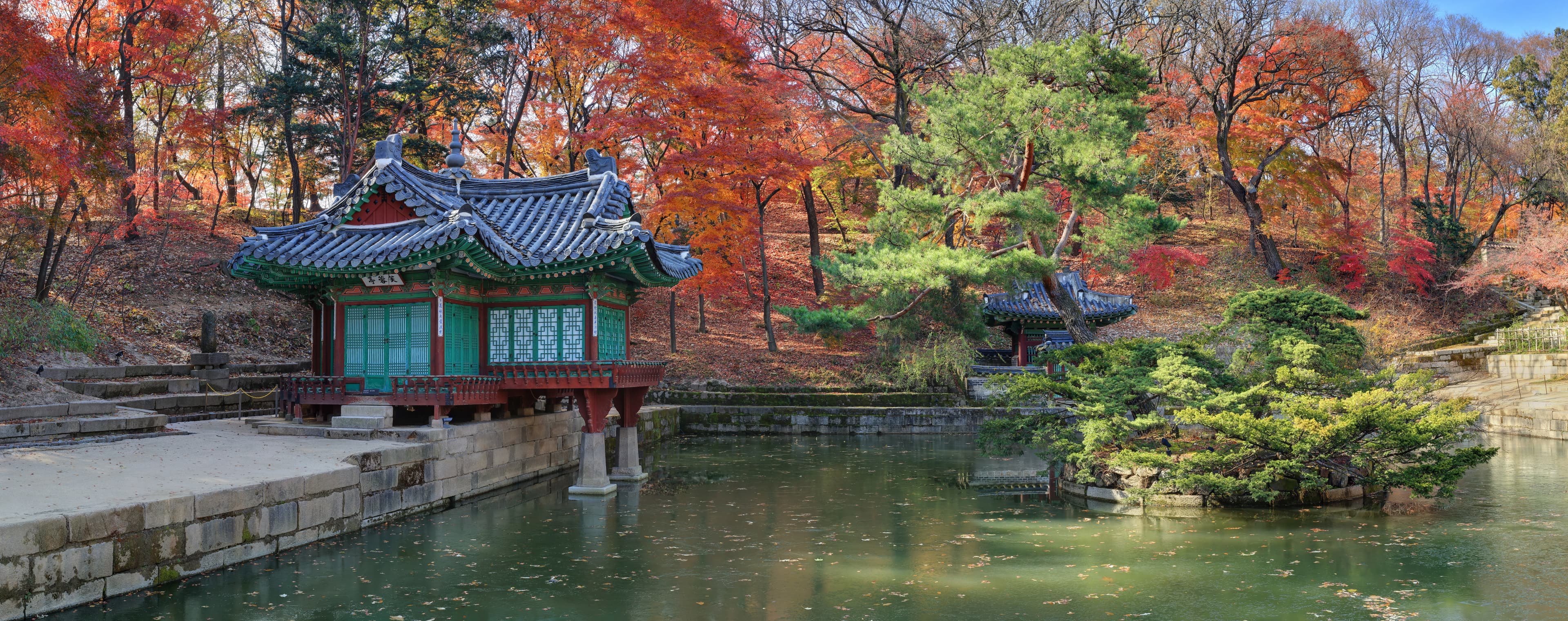 창덕궁 부용정 — 창덕궁 부용정_전경