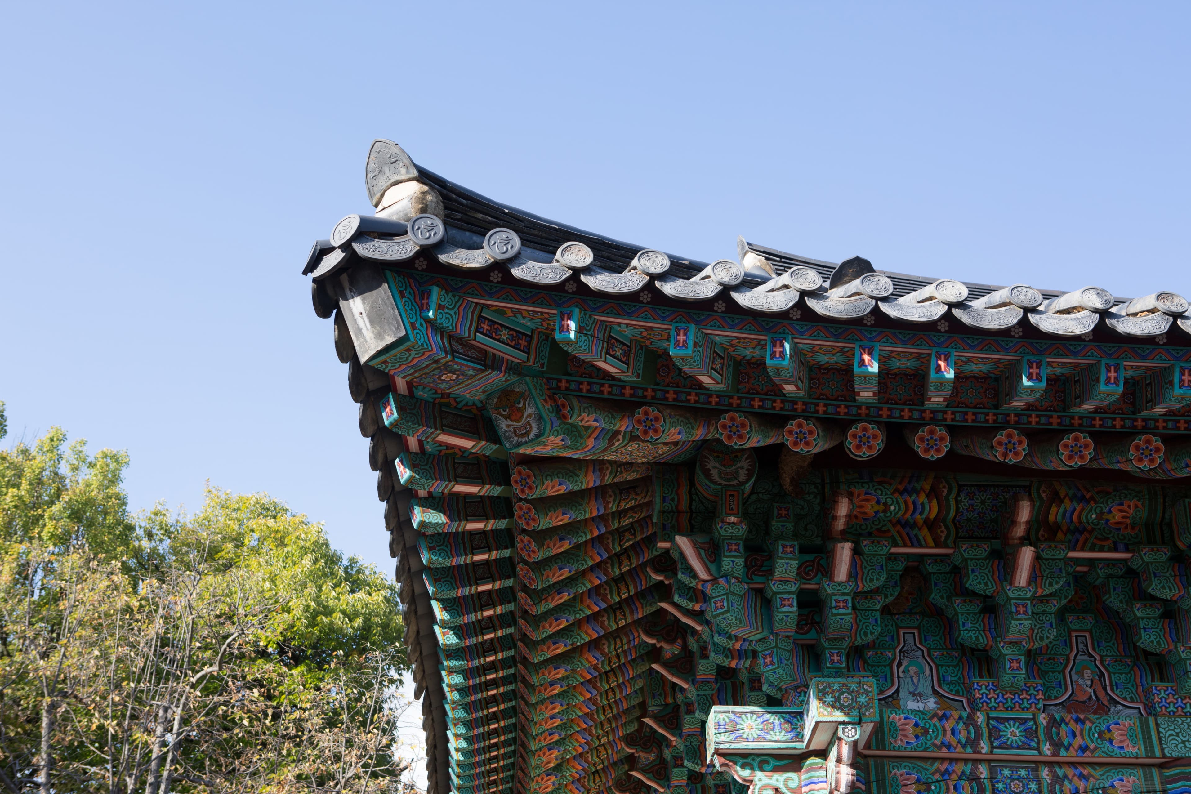 대구 동화사 극락전 — 대구 동화사 극락전_처마 (촬영년도 : 2015년)