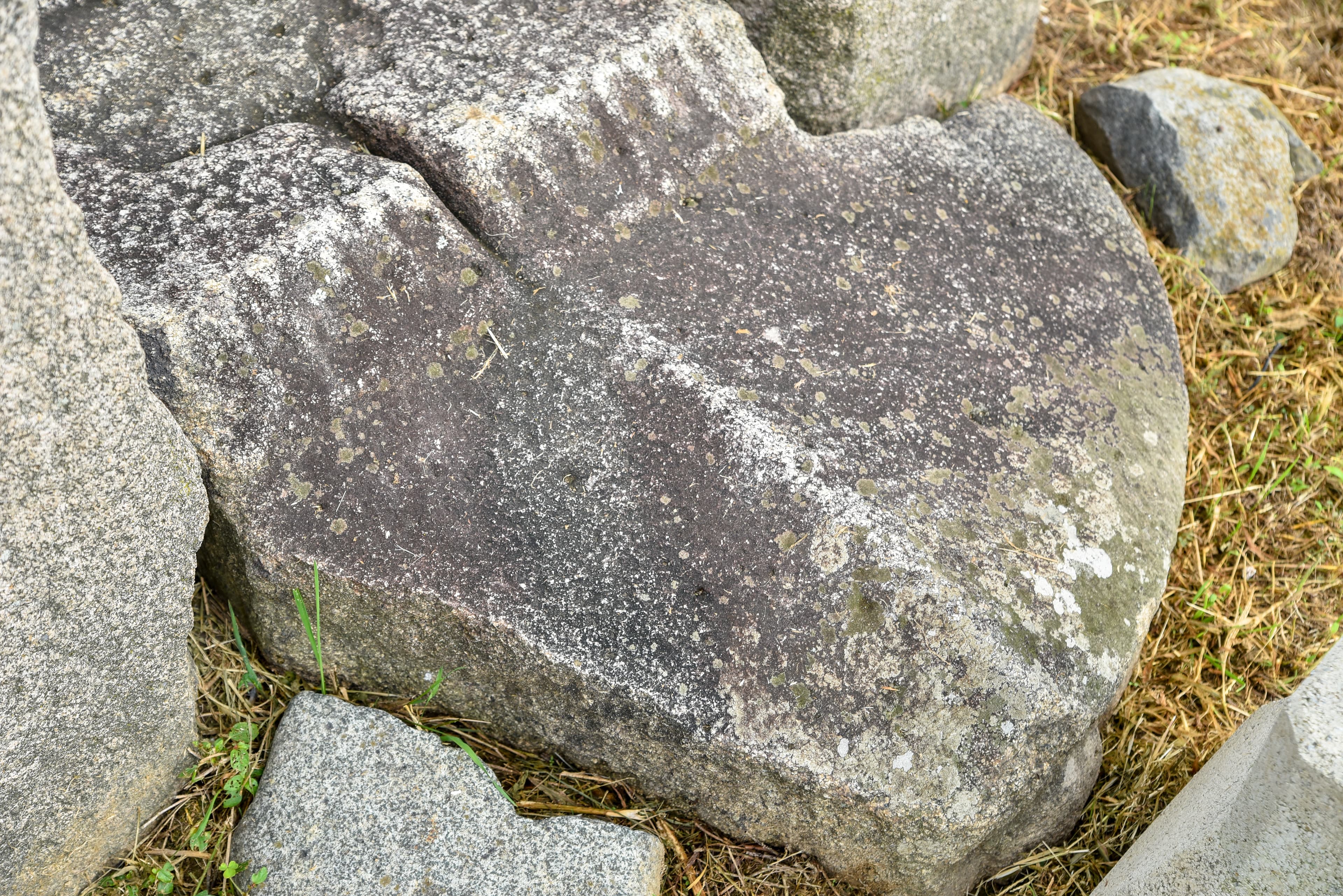 경주 분황사 당간지주 — 경주 분황사 당간지주