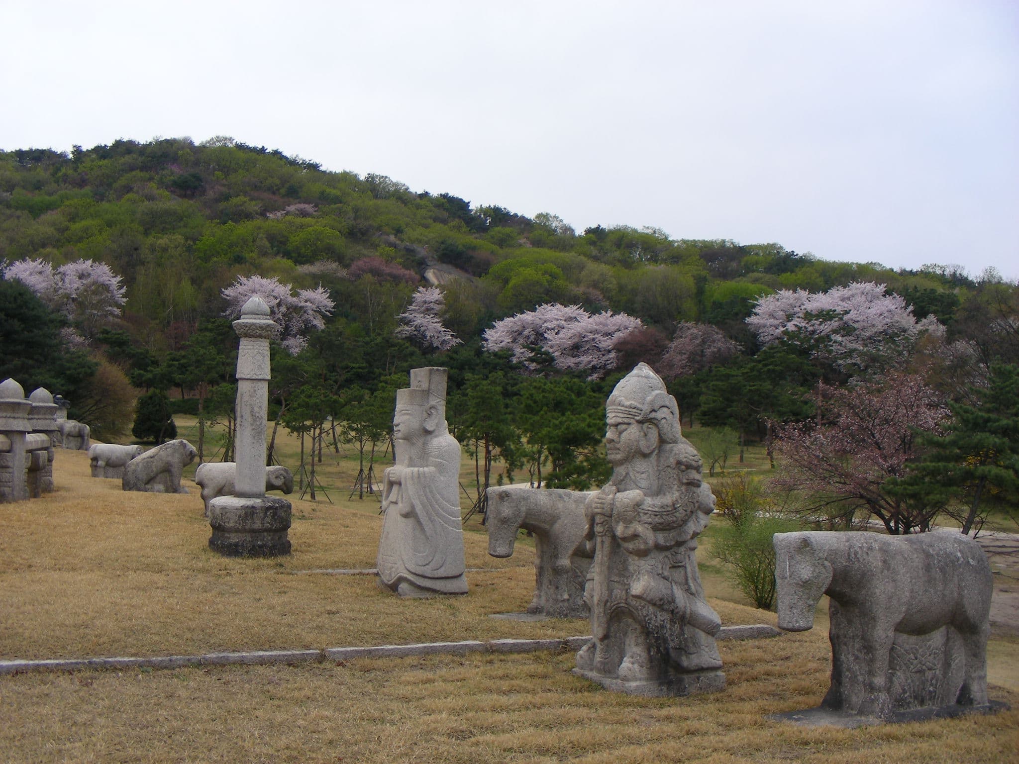 서울 의릉 — 2008년 의릉 천장산의 봄꽃(저작권 : 문화재청)
