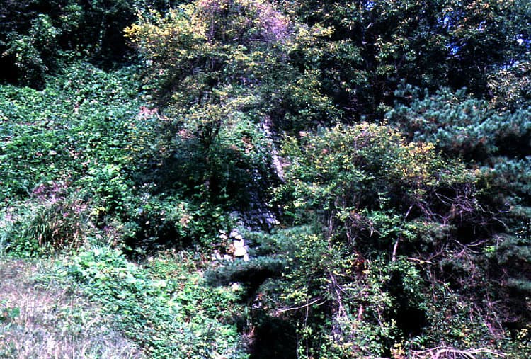 논산 노성산성 — 논산노성산성(성벽)
