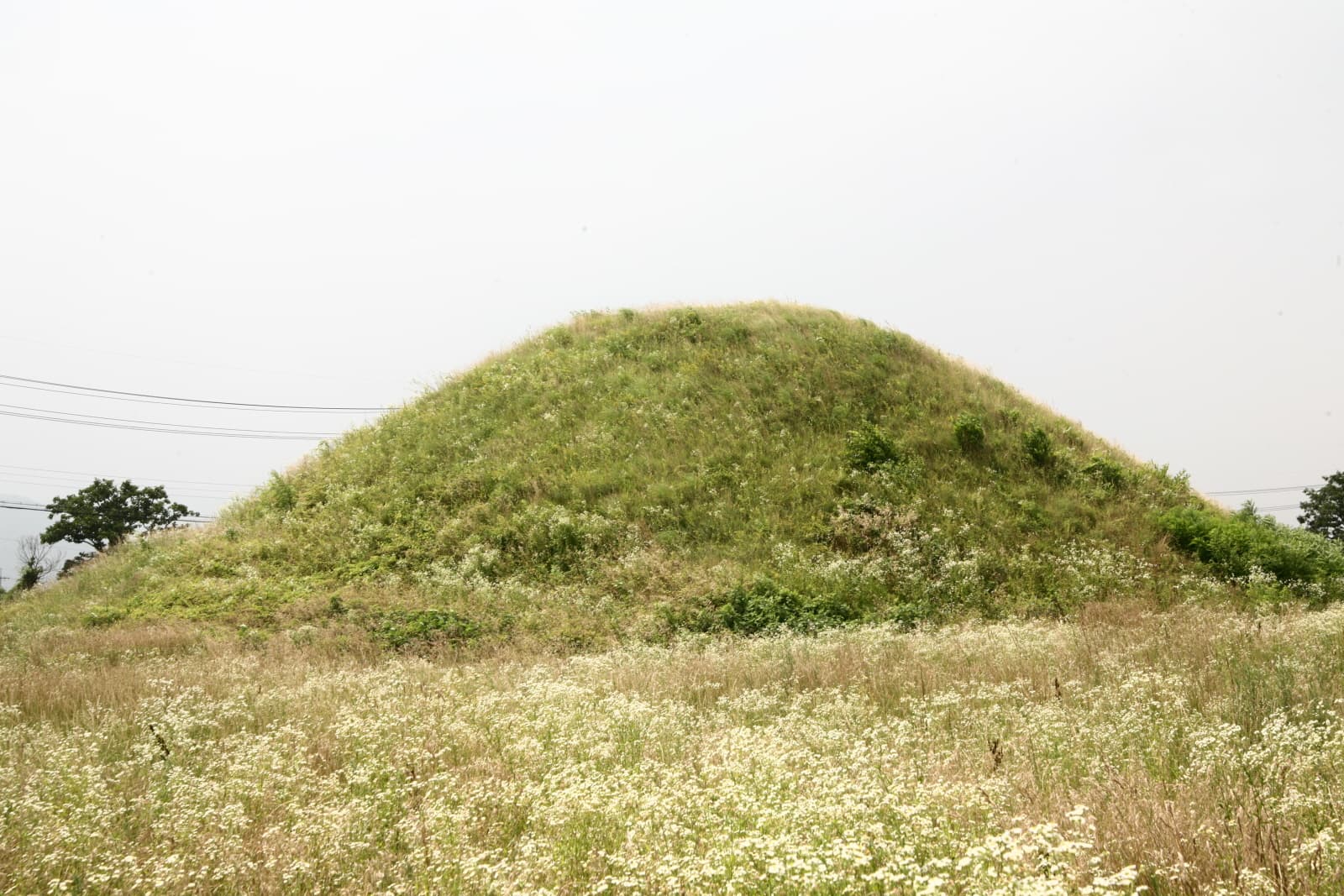 경주 금척리 고분군 — 고분