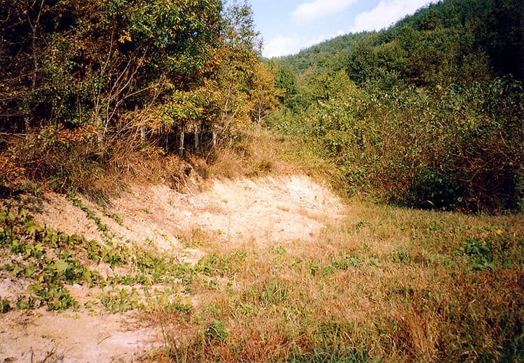 성산사부동도요지 — 성산사부동도요지