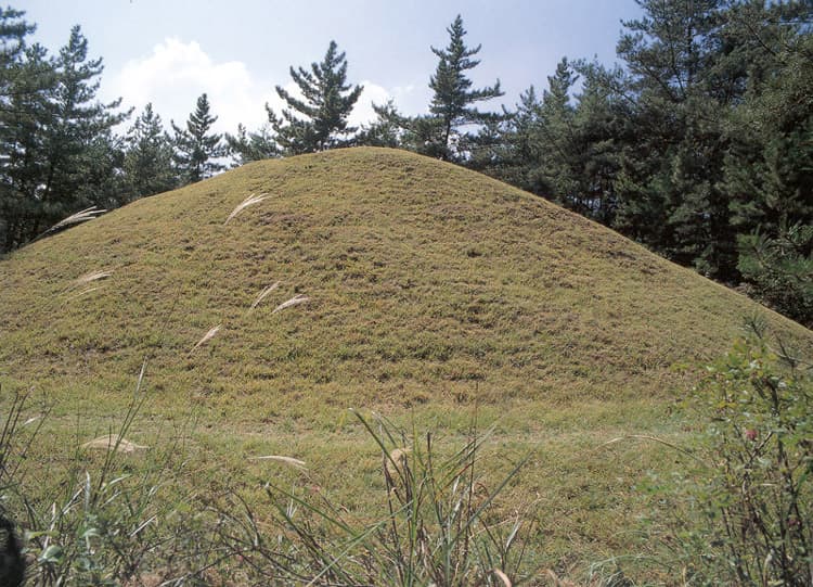 경주 진흥왕릉 — 경주 진흥왕릉 근경