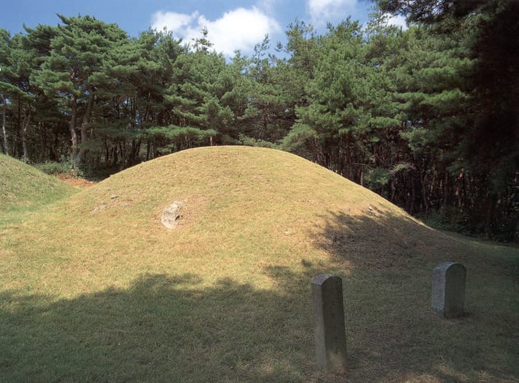 경주 헌안왕릉 — 경주 헌안왕릉 근경