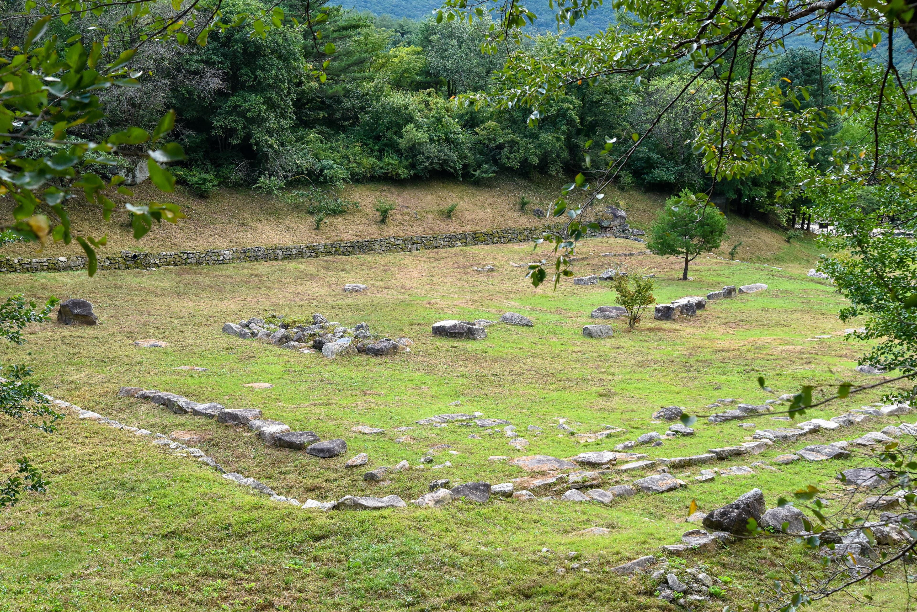 충주 미륵대원지 — 충주 미륵대원지
