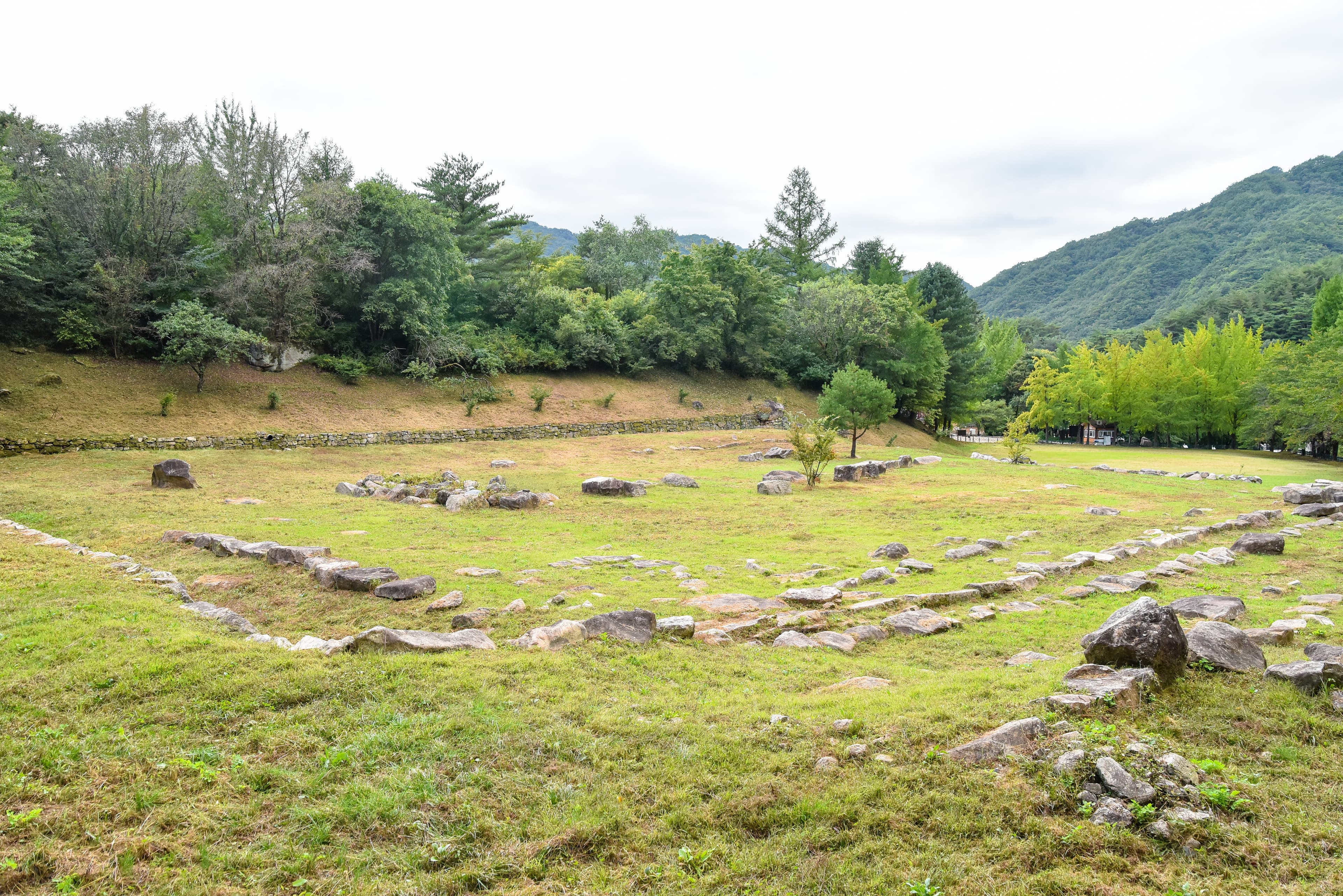 충주 미륵대원지 — 충주 미륵대원지