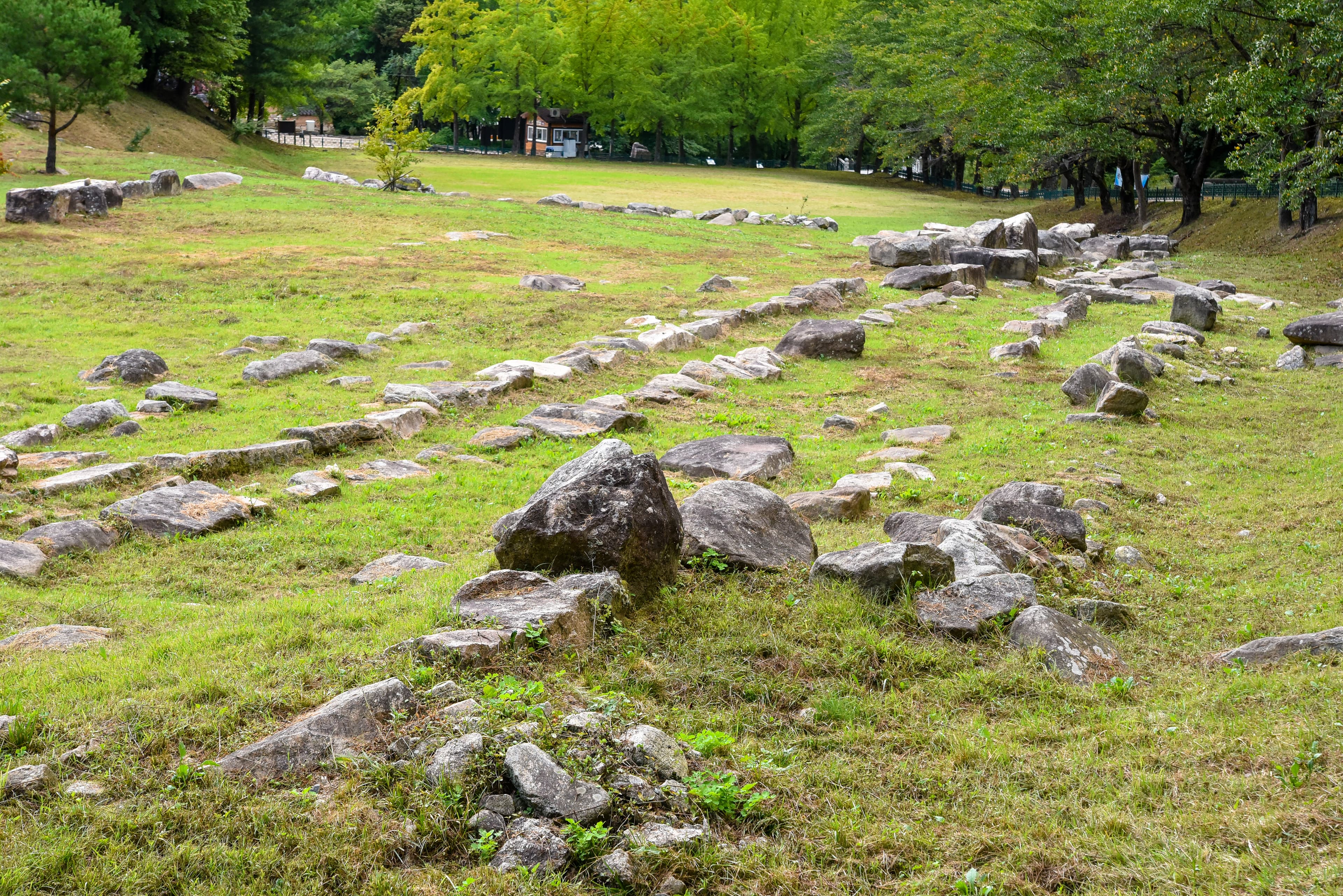 충주 미륵대원지 — 충주 미륵대원지