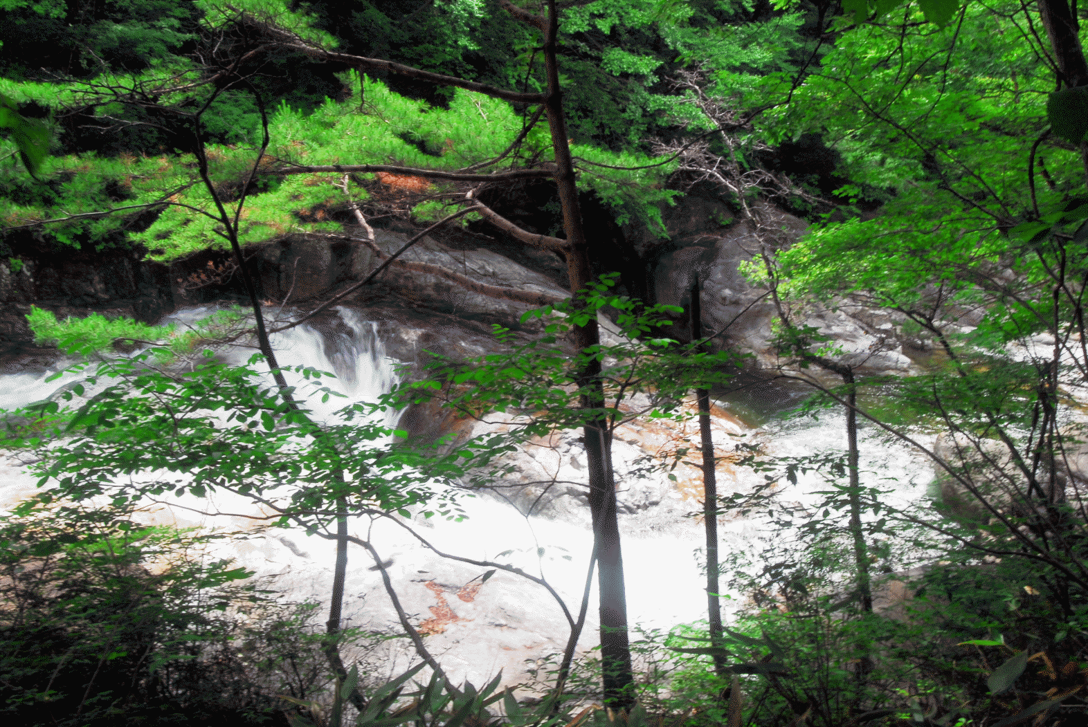 지리산 한신계곡 일원 — 지리산 한신계곡