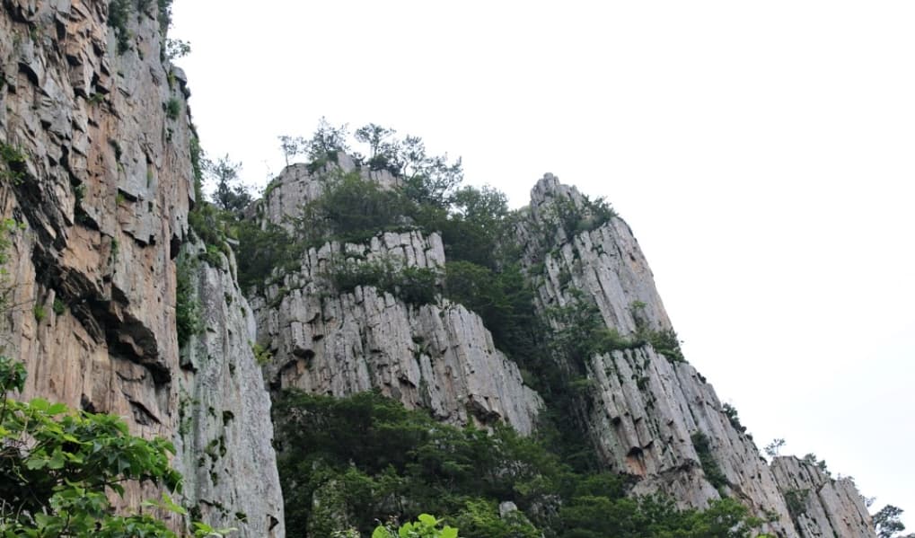 고흥 지죽도 금강죽봉 — 고흥 지죽도 금강죽봉