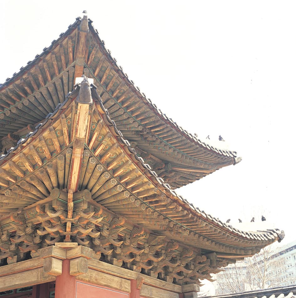 창경궁 홍화문 — 창경궁 홍화문 귀공포와 추녀
