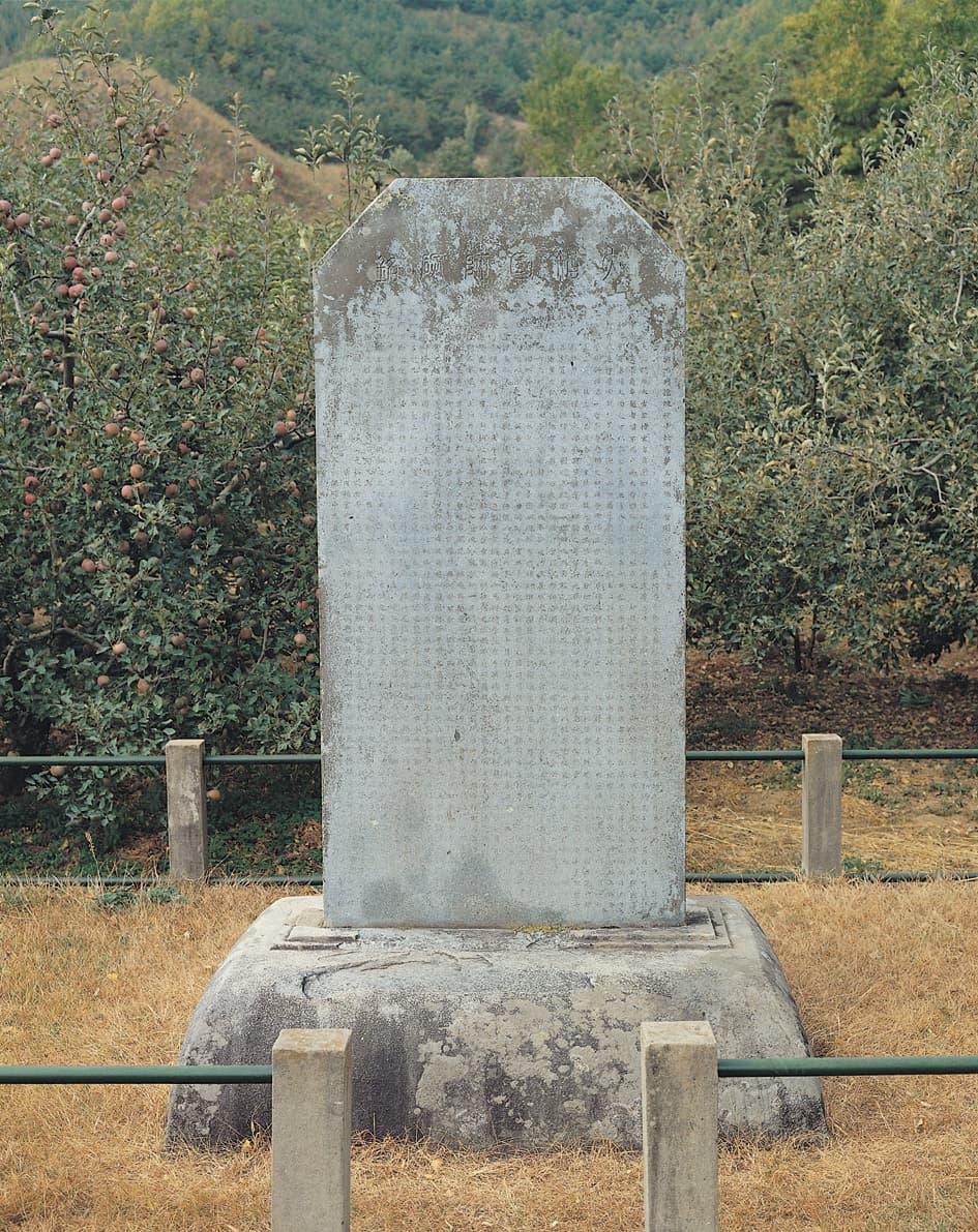충주 억정사지 대지국사탑비 — 충주 억정사지 대지국사탑비 전경 사진