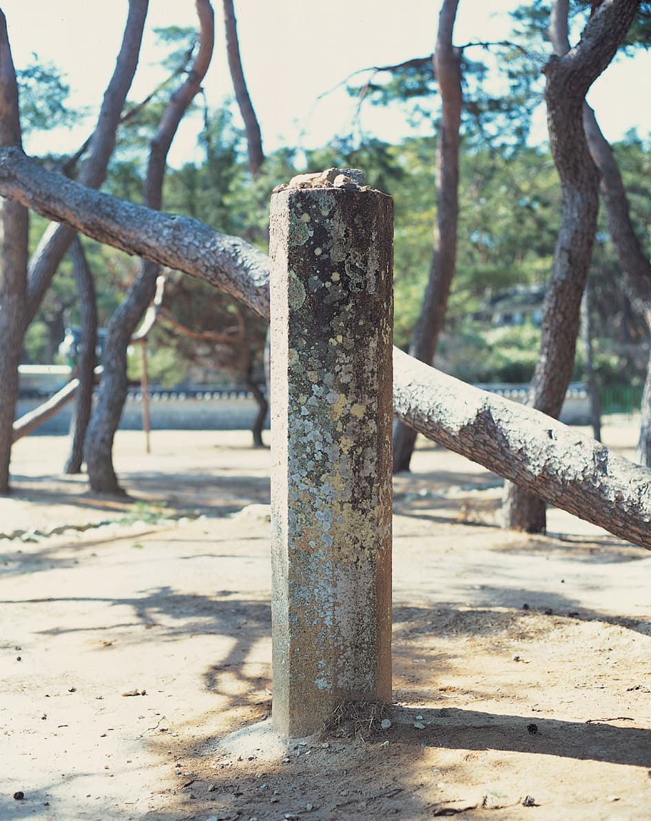 경주 원성왕릉 석상 및 석주일괄 — 석주 2