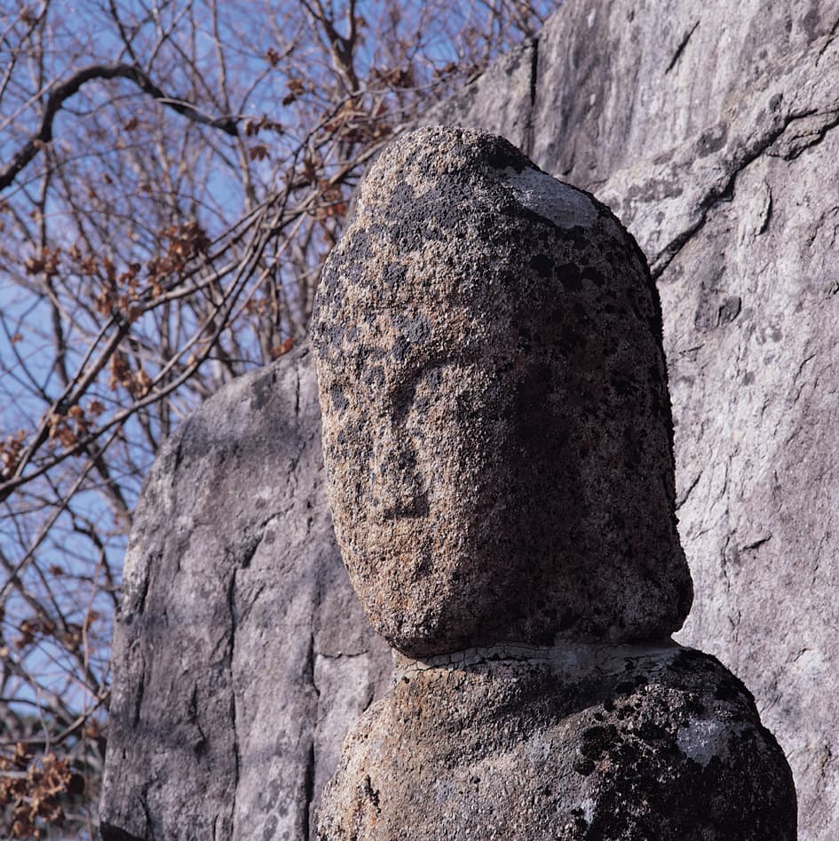 합천 해인사 석조여래입상 — 석조여래입상 머리 부분 좌측면 향