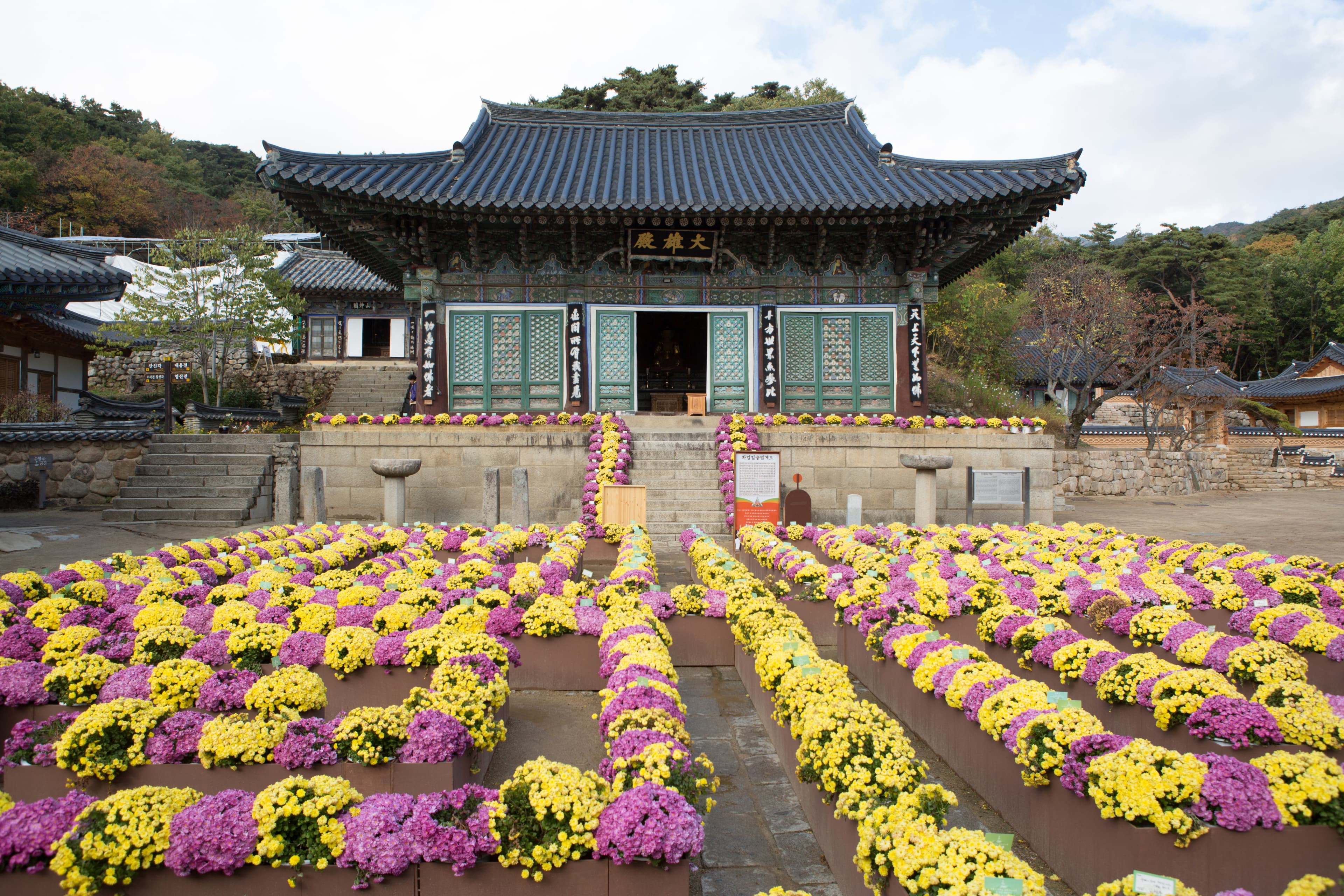 대구 동화사 대웅전 — 대구 동화사 대웅전_전경 (촬영년도 : 2015년)